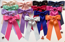 Load image into Gallery viewer, Ready to ship! Back to School Rainbow Cecis (Hair Bows ONLY - no keychains)