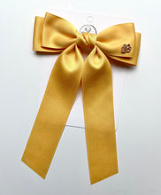Load image into Gallery viewer, Ready to ship! Back to School Rainbow Cecis (Hair Bows ONLY - no keychains)