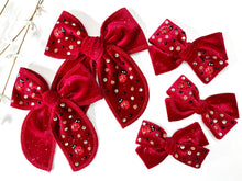 Load image into Gallery viewer, Ladybug Embellished Velvets