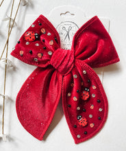 Load image into Gallery viewer, Ladybug Embellished Velvets