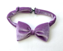 Load image into Gallery viewer, Lavender Velvet Bow tie