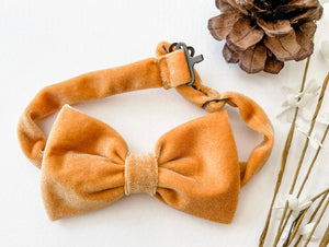 Golden Apricot Velvet Bow tie